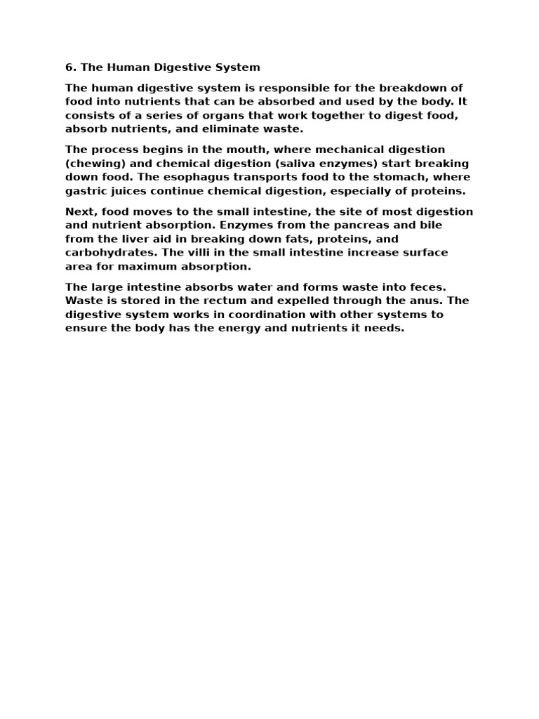Overview of the Human Digestive System | PDF