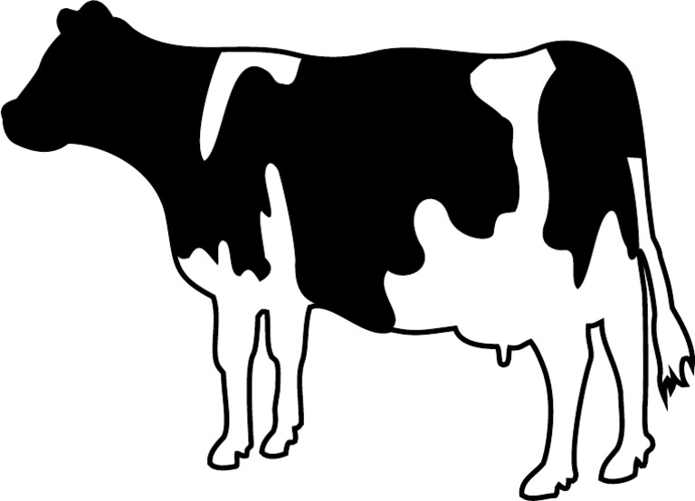 Cow Black | PDF