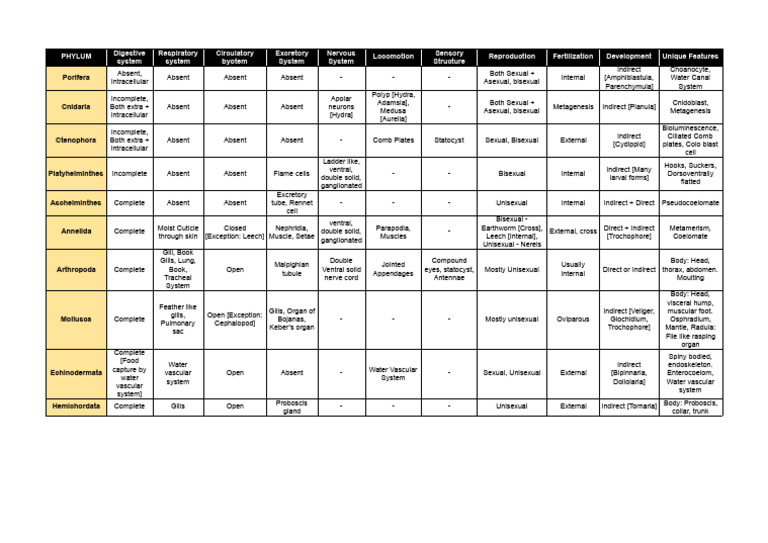 Animal Phyla Classification Overview | PDF | Mollusca | Zoology