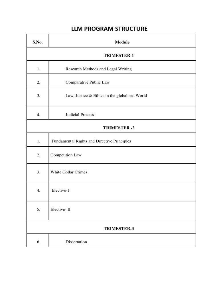 LLM Program Structure | PDF