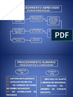 Esquemas Procedimiento Sumario Abreviado