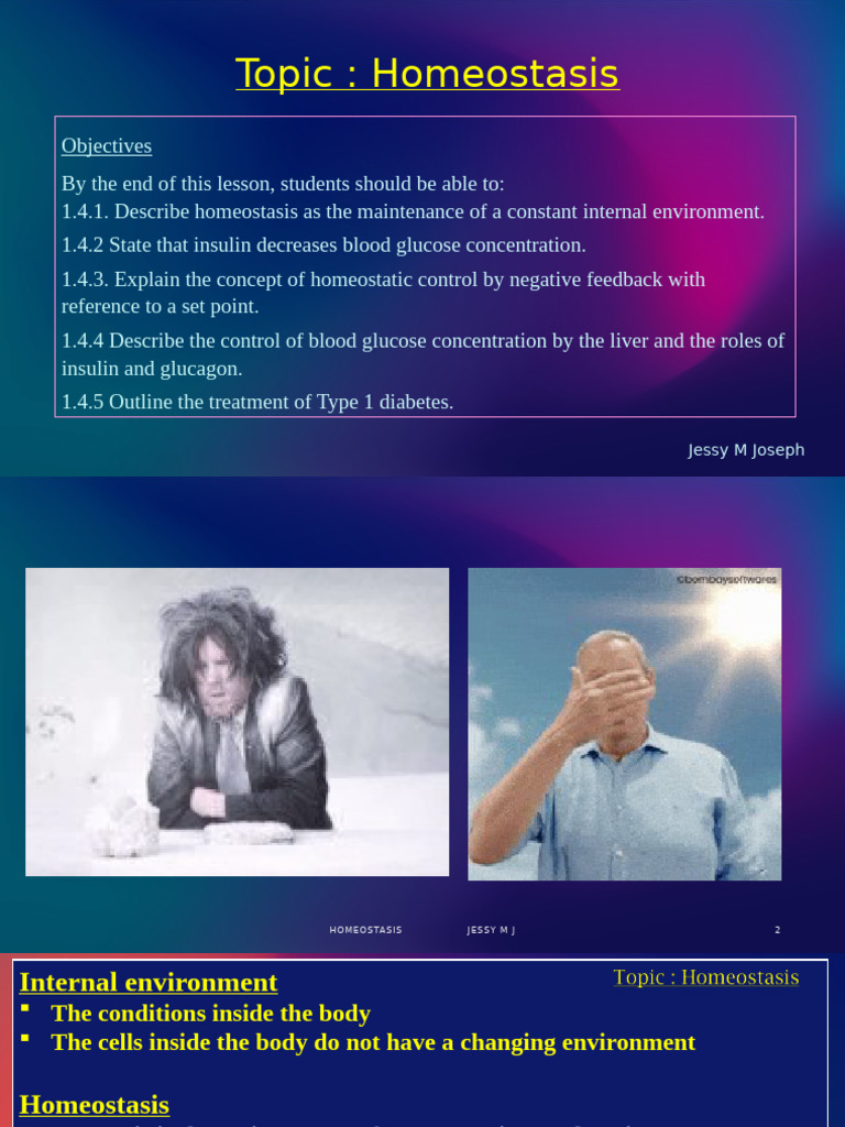 Glucose Homeostasis in Humans | PDF | Pancreas | Glucose