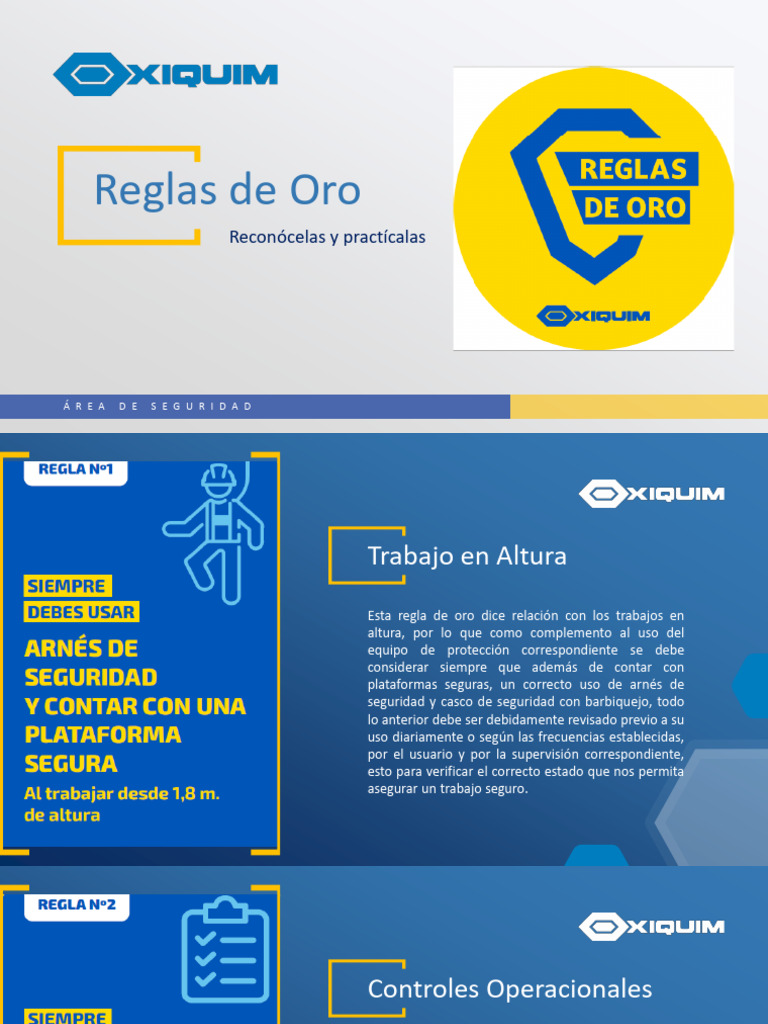 Reglas de Oro para Seguridad Laboral | PDF