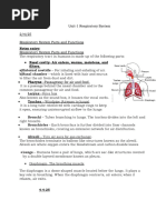 Air Pathway in the Respiratory System | PDF