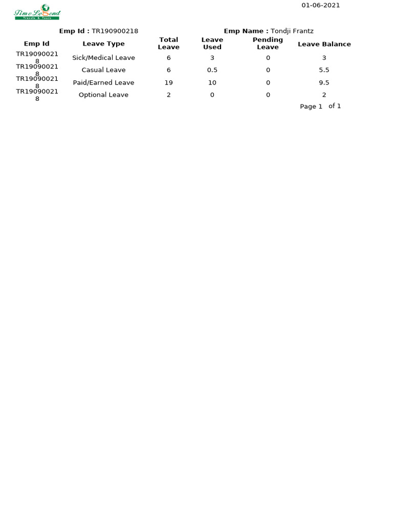 Employee Leave Balance Summary | PDF