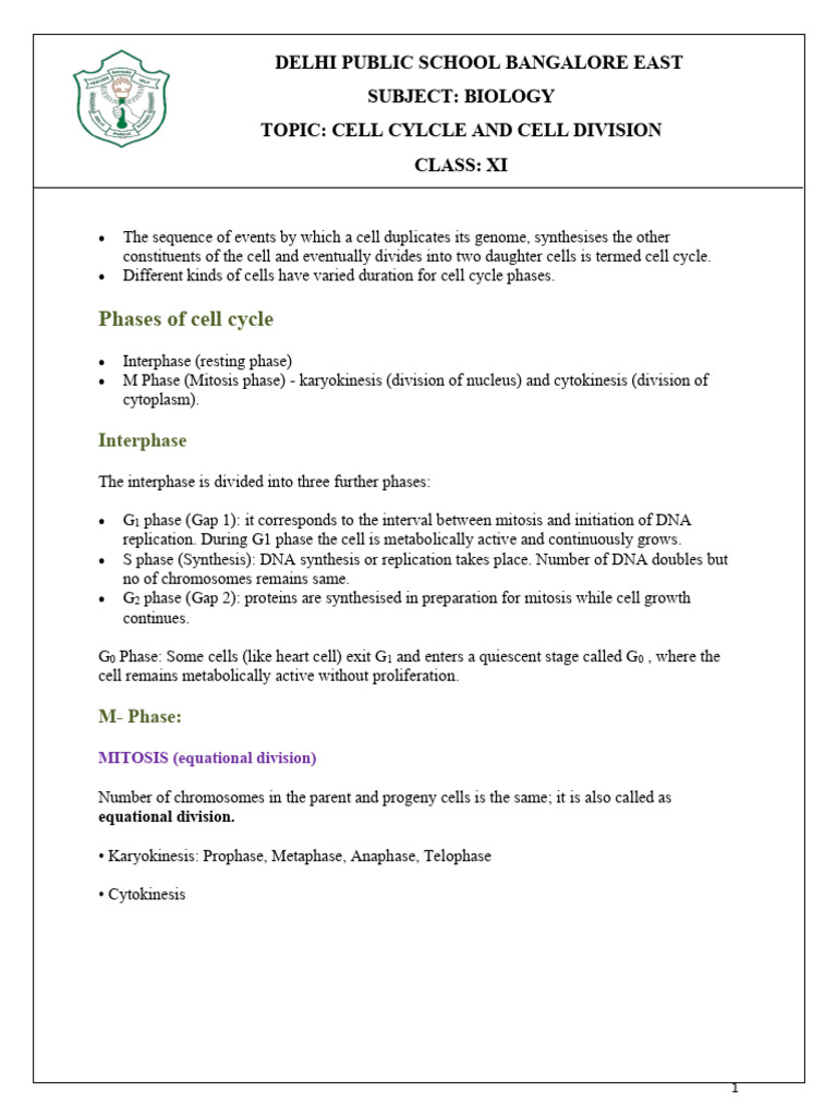 Cell Cycle and Cell Division | PDF | Meiosis | Mitosis