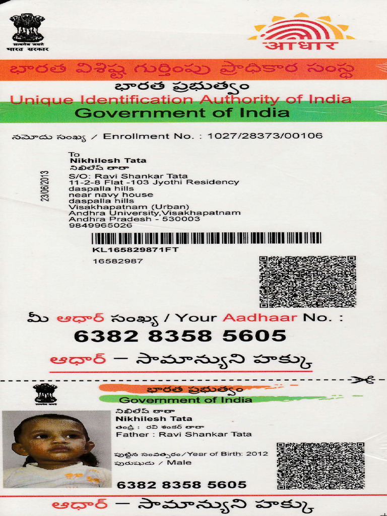 Nikhilesh Tata's Aadhaar Card Details | PDF