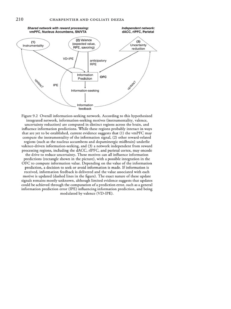 Information Seeking | PDF