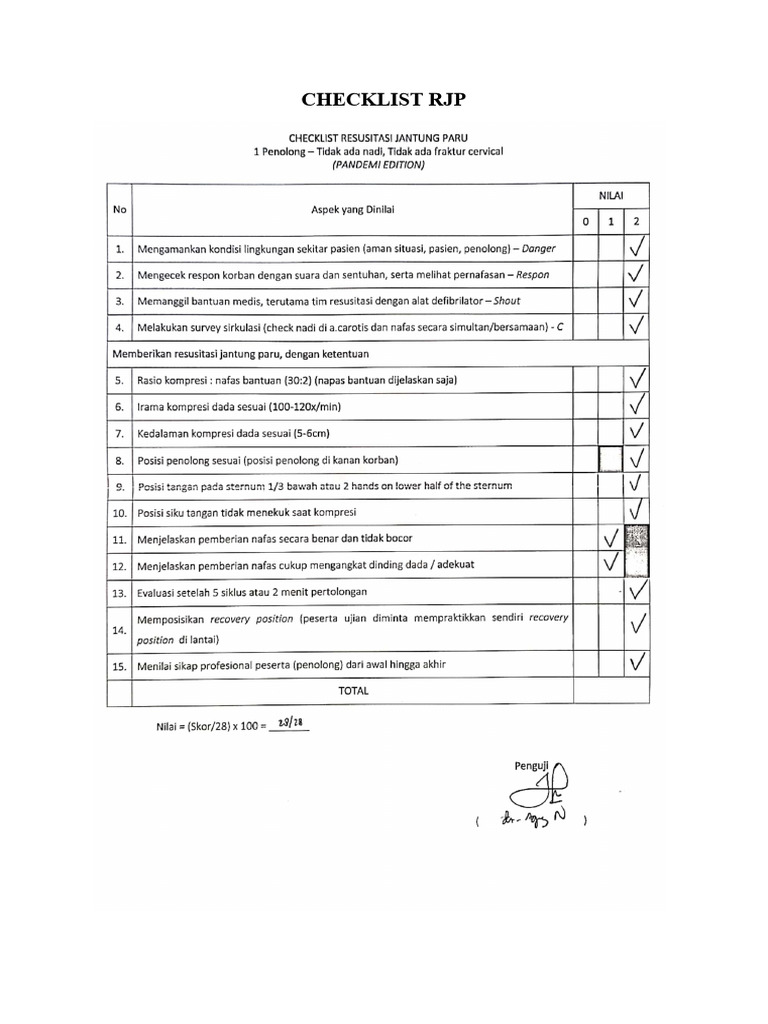 Checklist RJP | PDF