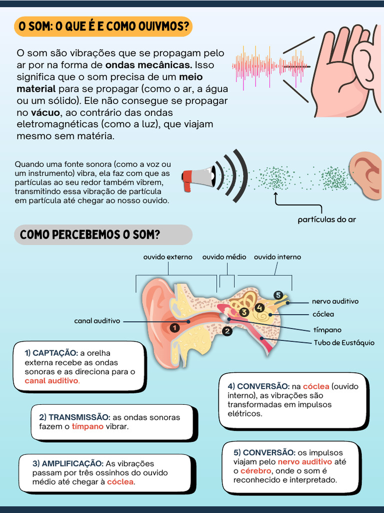 Como Ouvimos: O Processo do Som | PDF | Som | Orelha