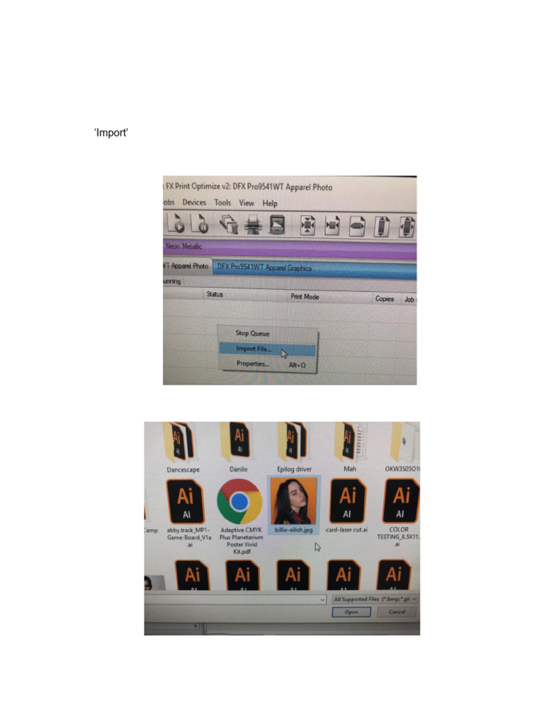 Print Optimization with RIP Software | PDF