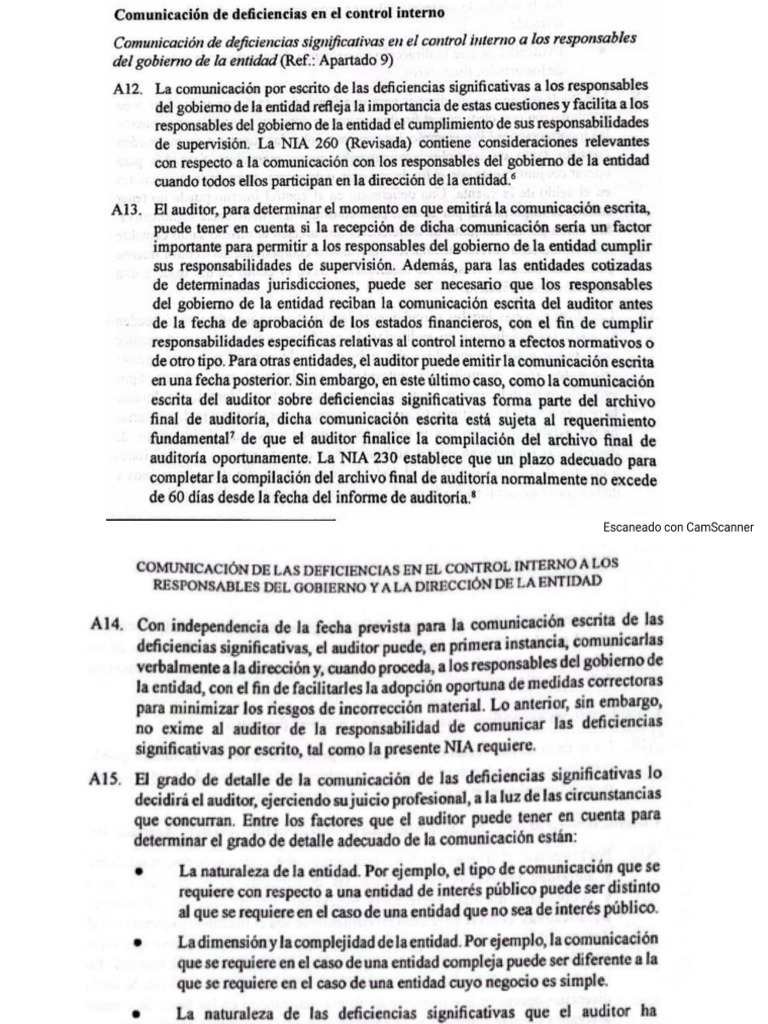 Deficiencias en El Control Interno | PDF