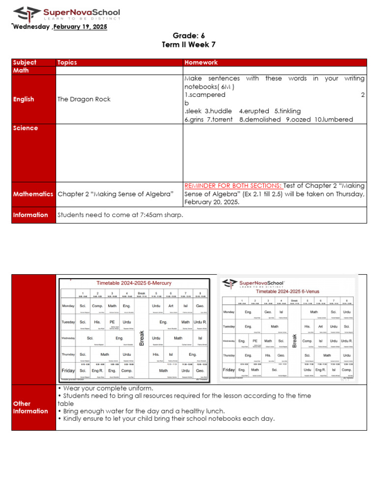 Grade 6 Weekly Homework Overview | PDF