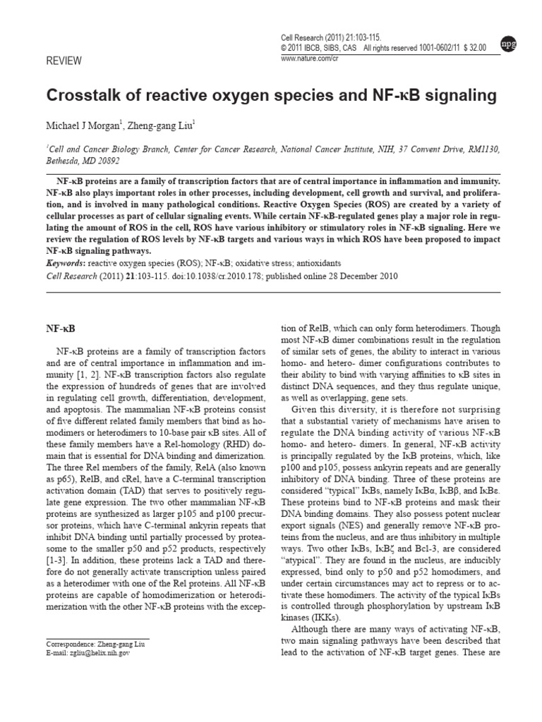 Crosstalk of Reactive Oxygen Species and NF | PDF | Nf κb | Reactive ...