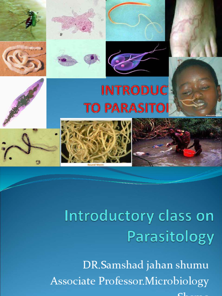 Understanding Parasite Infections | PDF | Parasitism | Antibody