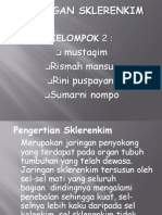 kELOMPOK 2