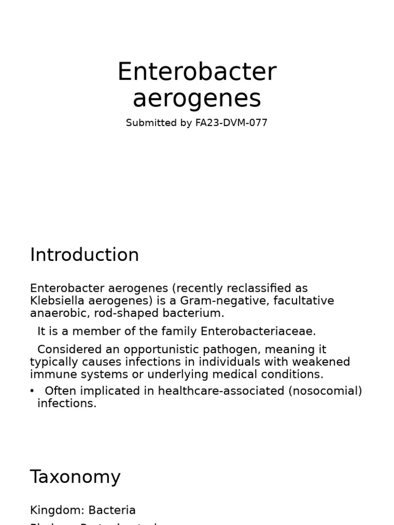 Enterobacter aerogenes Overview and Infections | PDF | Infection | Bacteria