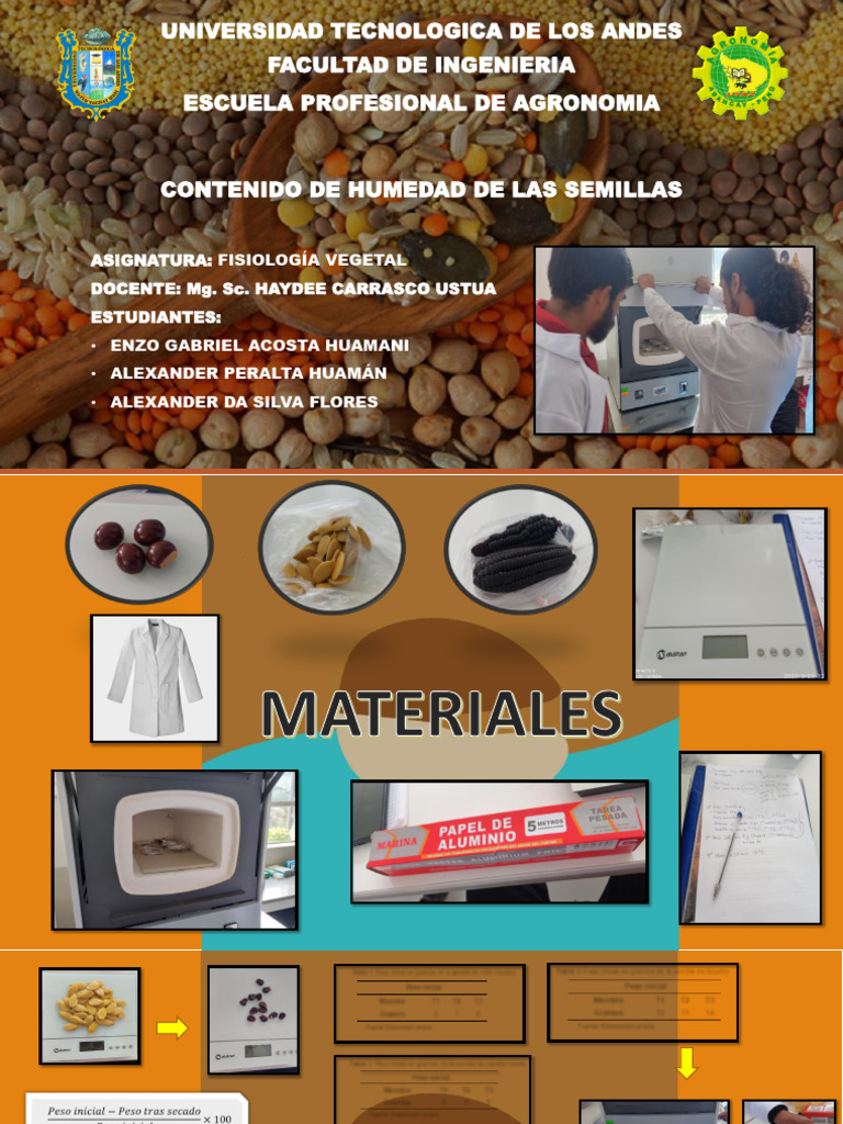 Contenido de Humedad en Semillas Ortodoxas | PDF | Semilla | Germinación