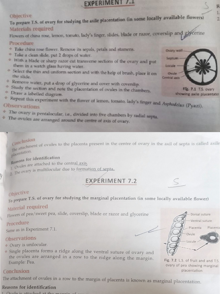 Bio Spotting File | PDF