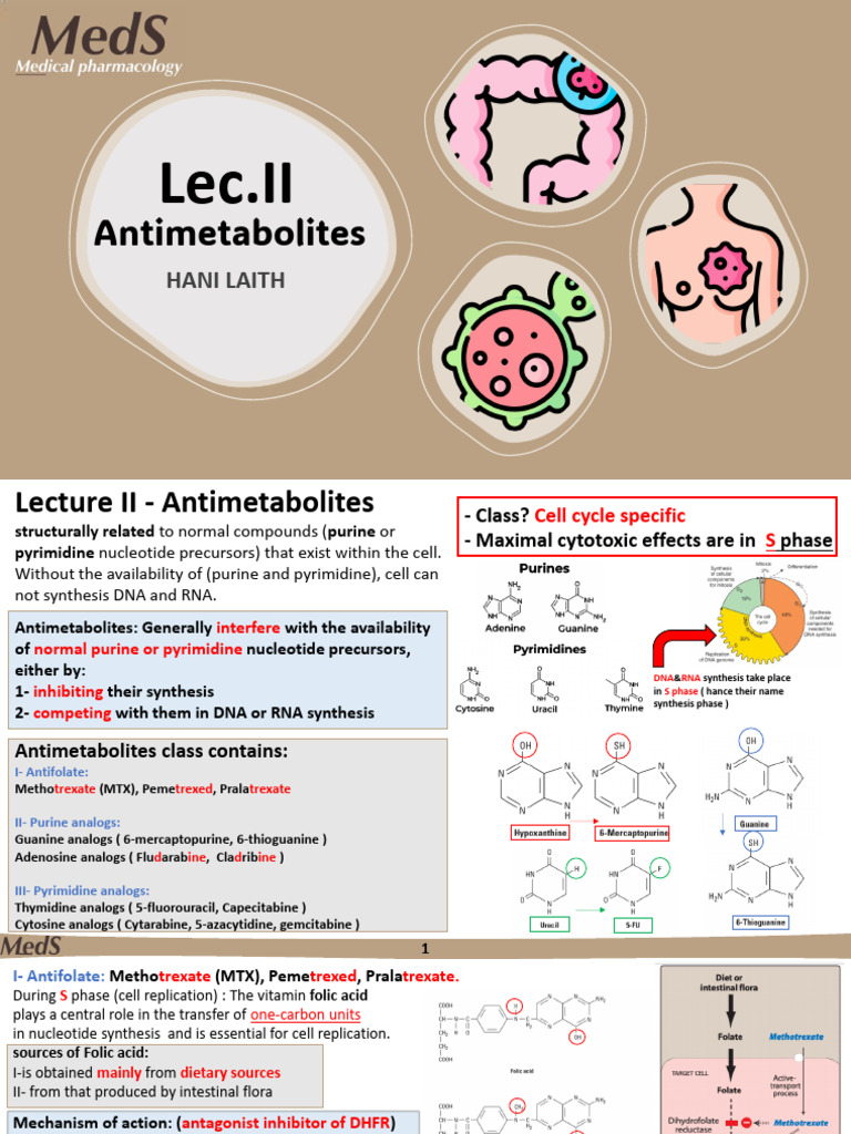 Lec - II Antimetabolites MedS | PDF | Drugs | Biochemistry
