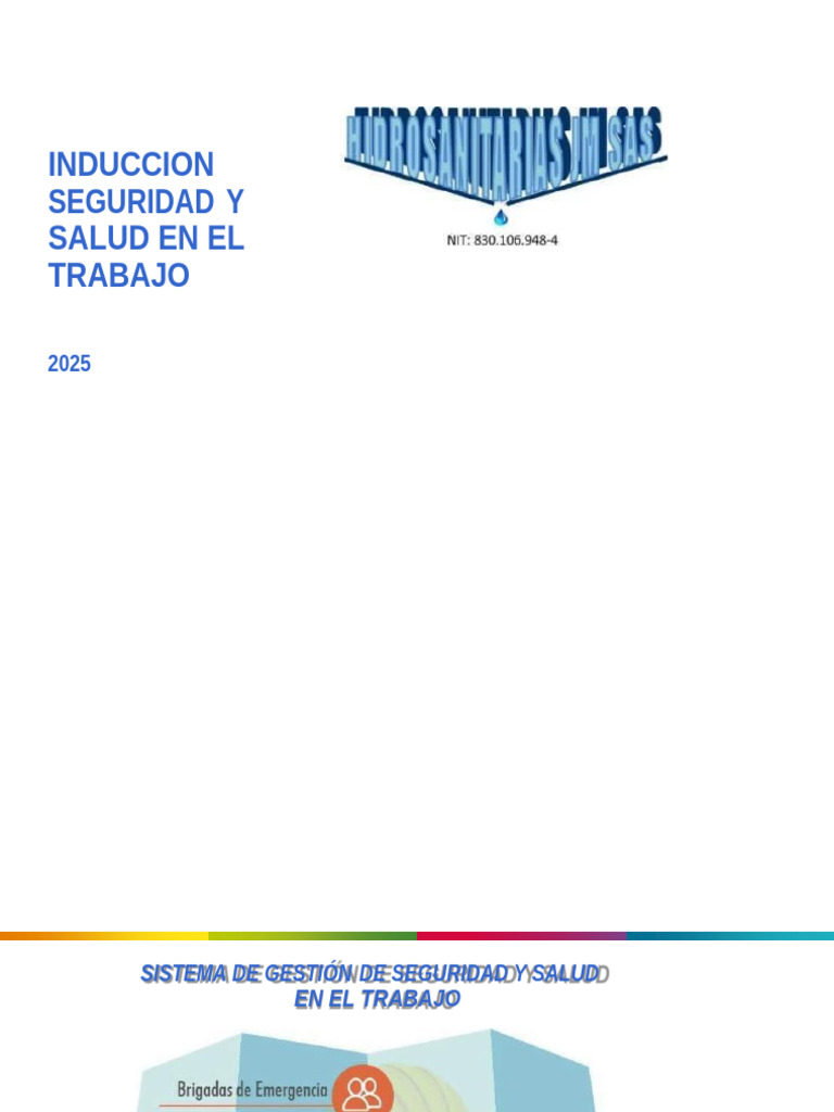 Induccion Seguridad Y Salud En El Trabajo Pdf La Seguridad