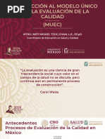 Fases y Capas del MUEC en Salud | PDF | Calidad (comercial) | Evaluación