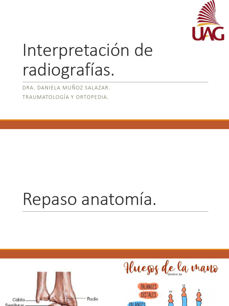 Interpretación RX | PDF