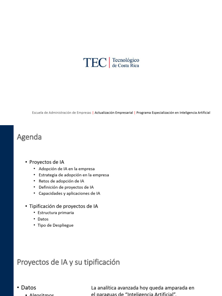 Especialización en IA para Empresas | PDF | Inteligencia artificial ...