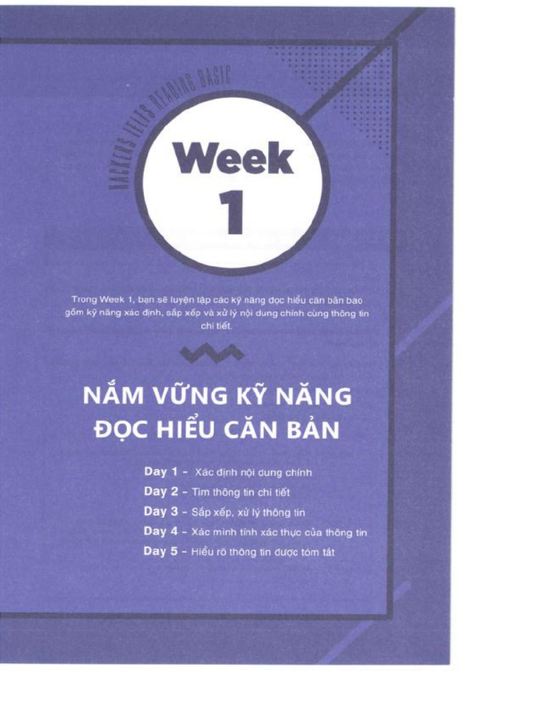 Basic Reading 1 | PDF