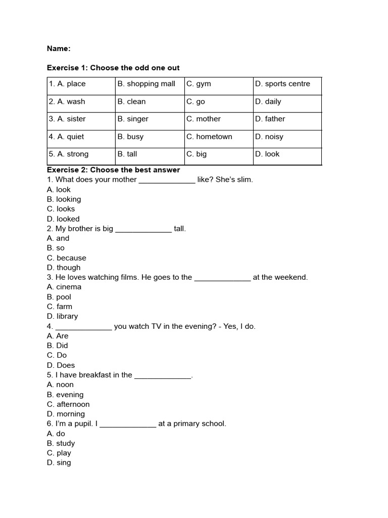 English Language Exercises for Beginners | PDF