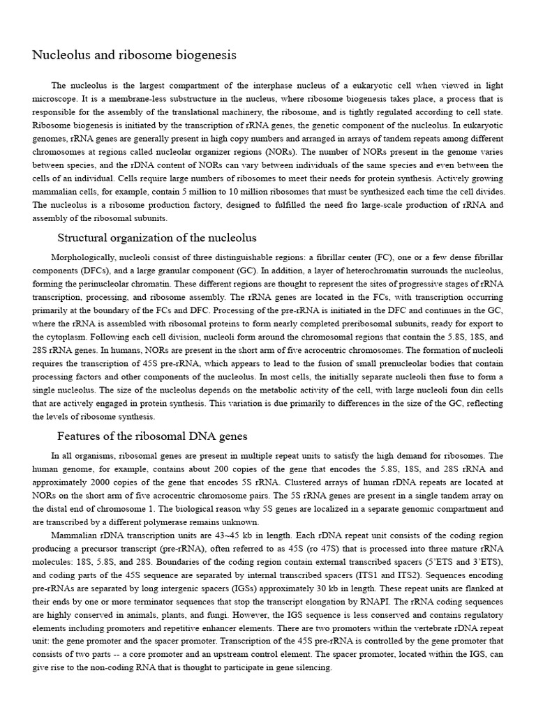Learning Text Nucleolus and Ribosome Biogenesis | PDF | Ribosomal Rna ...
