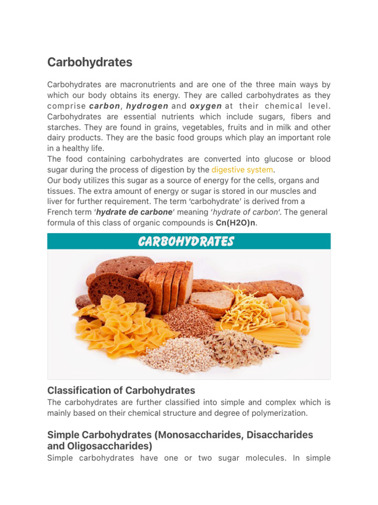 Understanding Carbohydrates and Their Types | PDF | Carbohydrates | Starch