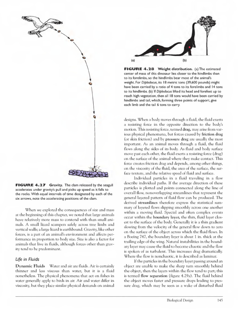 Gravity and Fluid Dynamics in Animals | PDF | Drag (Physics) | Buoyancy