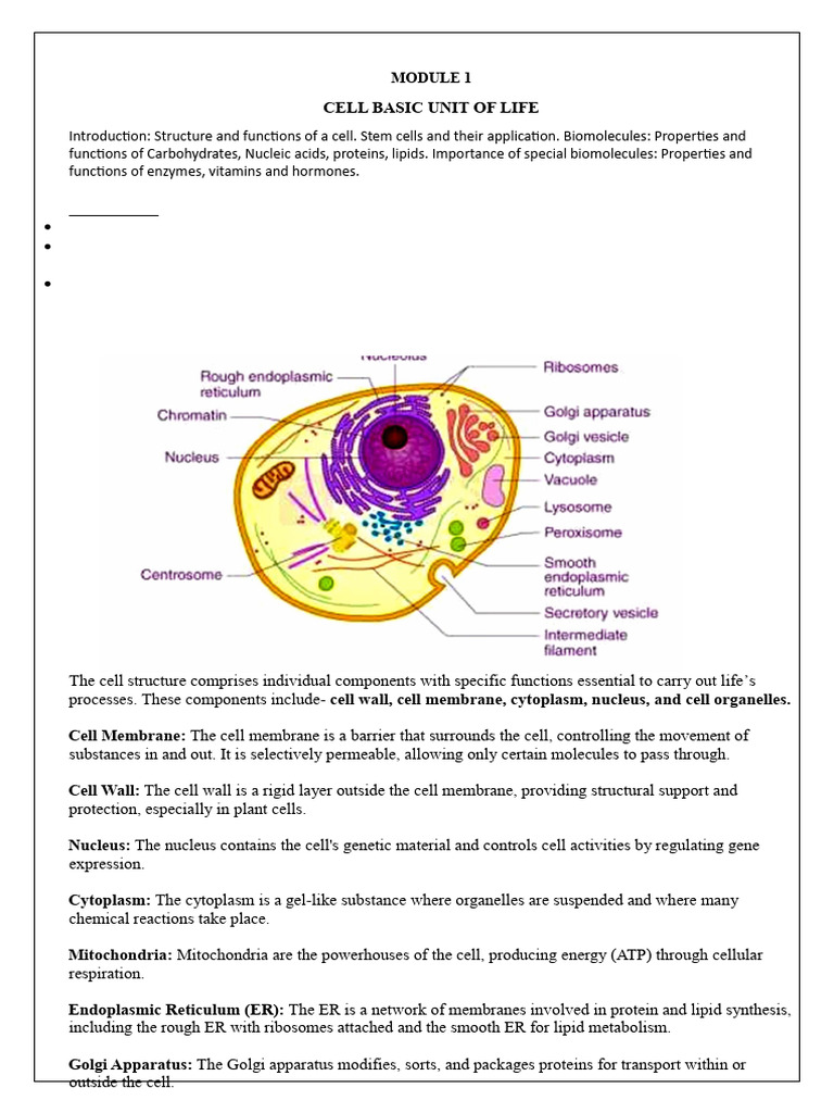 Module 1 - Cell Basic Unit of Life | PDF | Cell (Biology) | Nucleic Acids