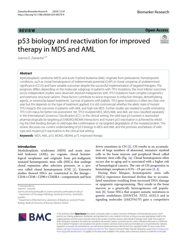 Mutant p53 Degradation in MDS/AML | PDF | P53 | Hematopoietic Stem Cell