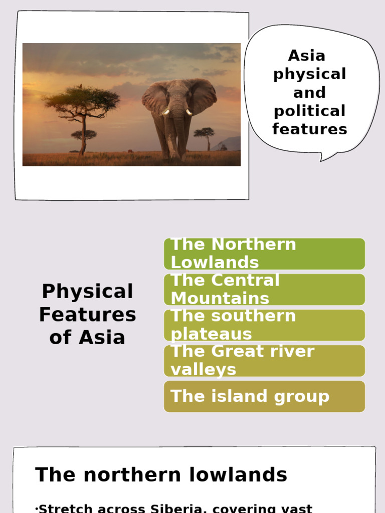 Asia's Physical and Political Features | PDF | Forests | Desert