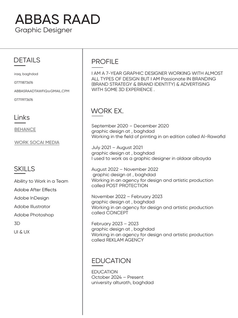 Abbas Raad (Graphic Designer) | PDF
