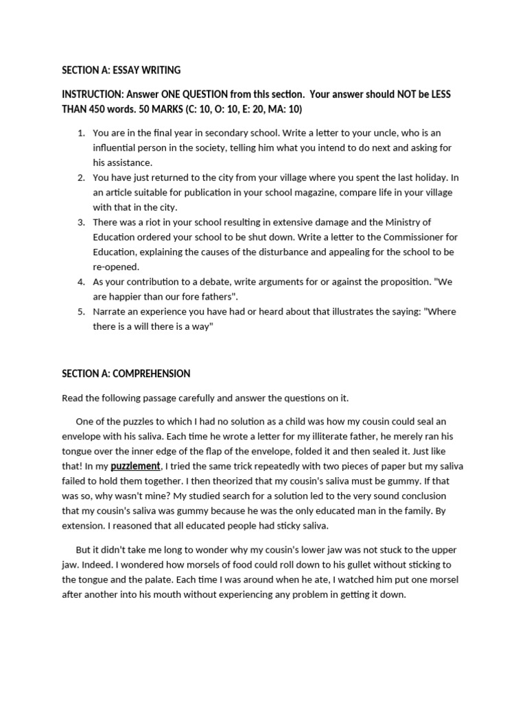 Essay Writing and Comprehension Guide | PDF | Teachers