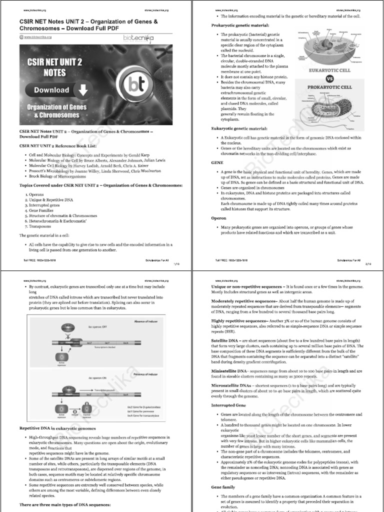 2 A | PDF