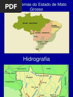 Impactos Sobre Fauna e Flora