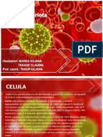 biologie. celula procariota