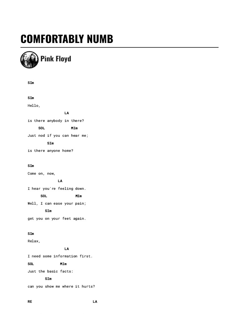 Comfortably Numb Lyrics and Chords | PDF | Songs Written | Sound Recording