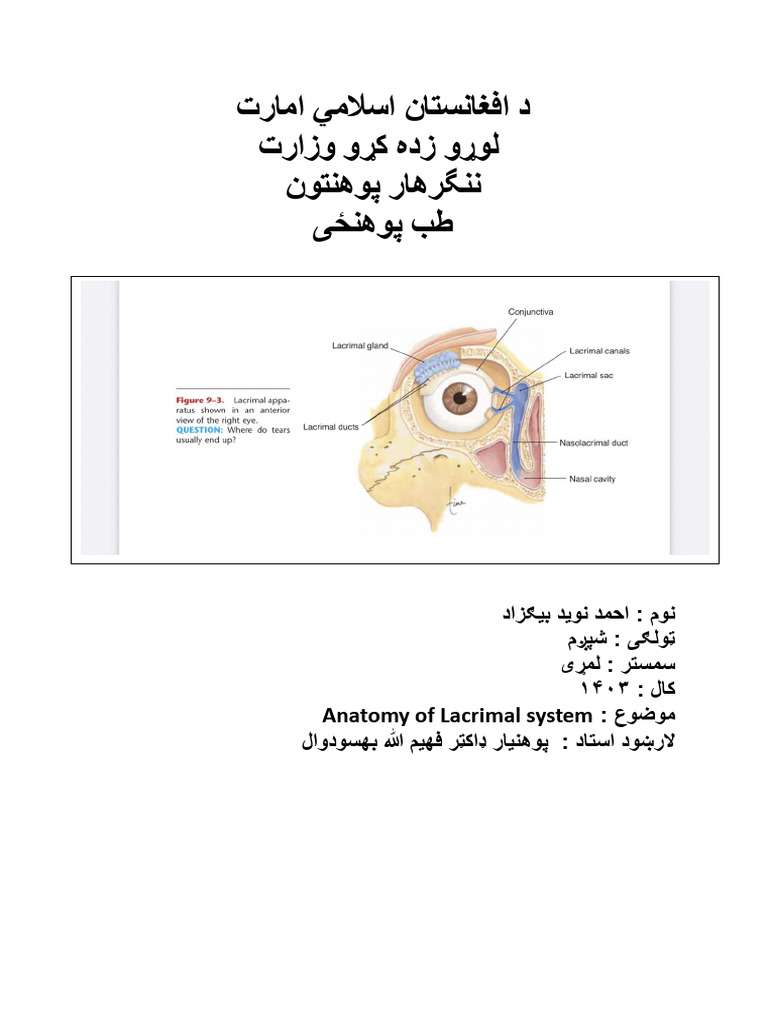 نوید | PDF