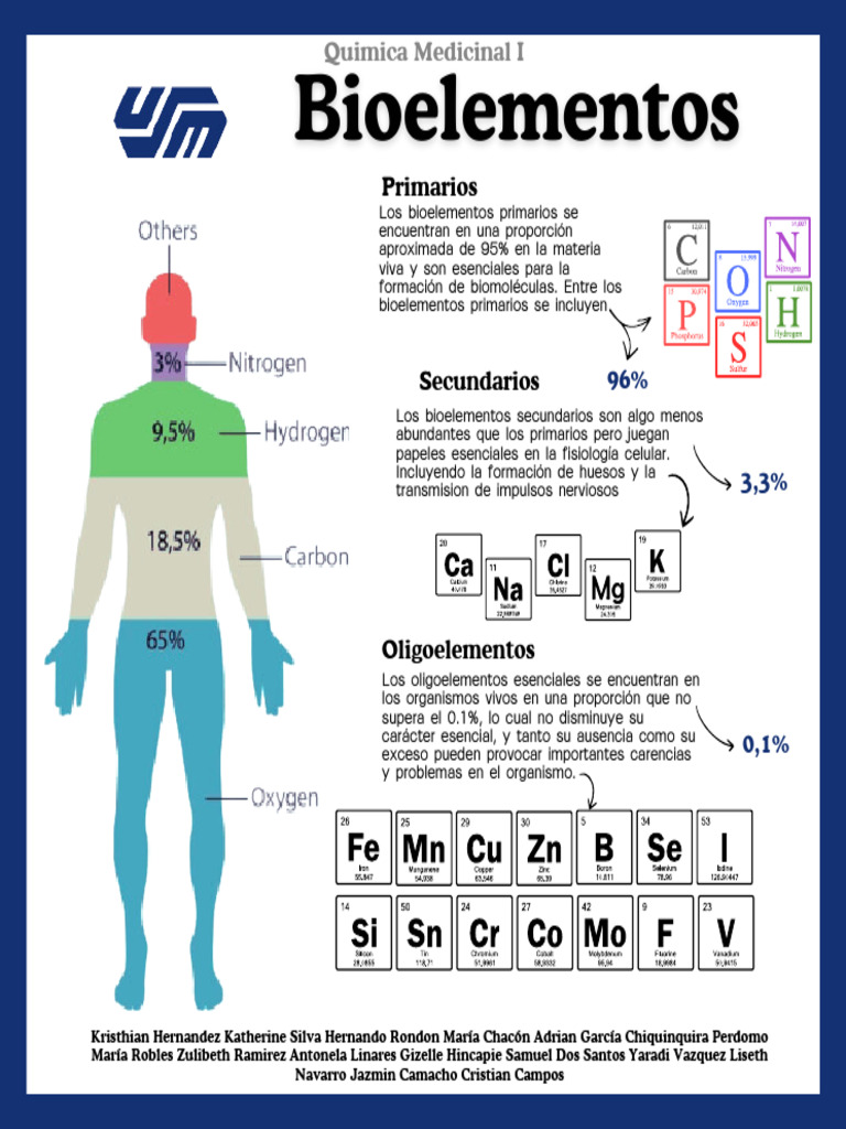 Bioelementos Secundarios en el Cuerpo Humano | PDF