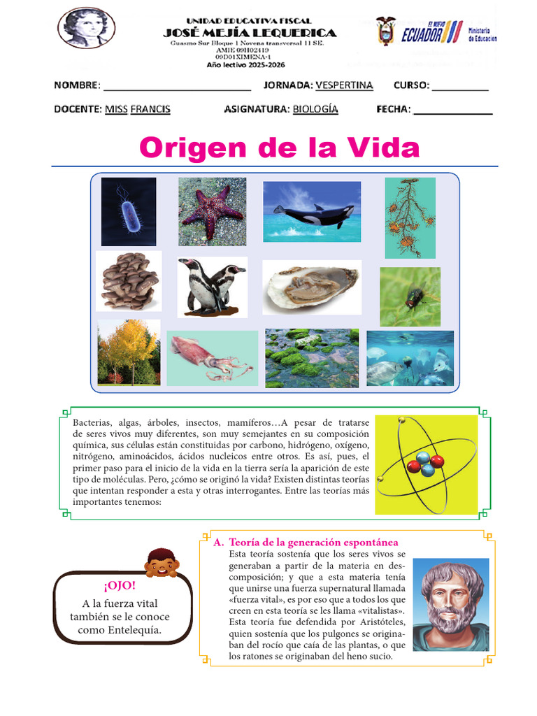 Teorías sobre el Origen de la Vida | PDF | Naturaleza | Biología