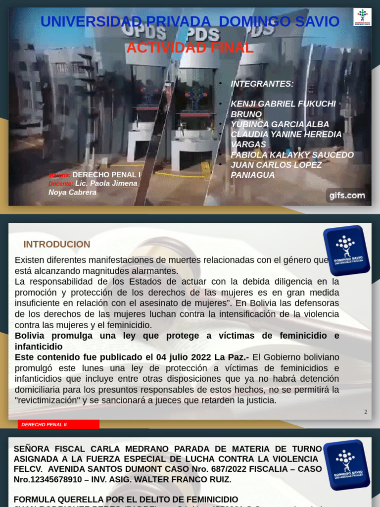 Querella por Feminicidio en Bolivia | PDF | Justicia penal | Crimen y ...