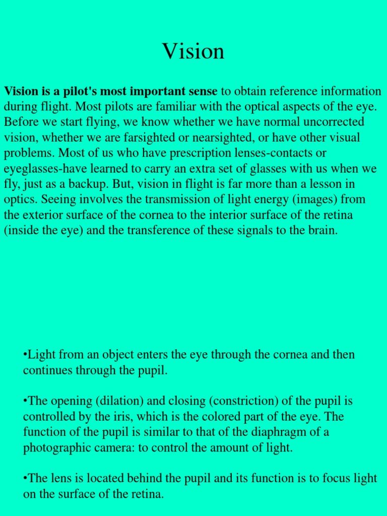 Night Blind Spot in Aviation | PDF | Visual Perception | Eye
