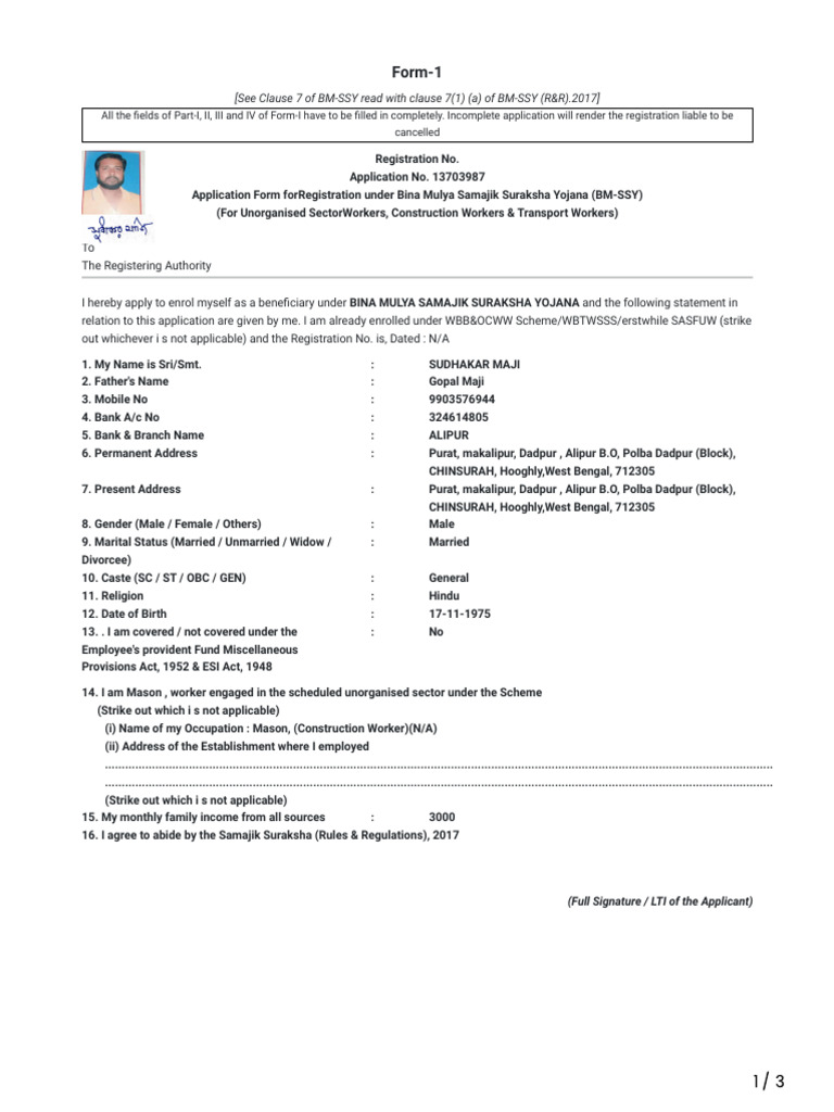 BMSSY Application Form Guide | PDF