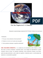 01-A Importancia Da Questao Ambiental