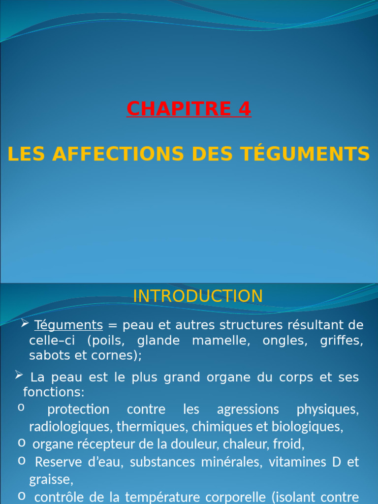 Affections cutanées chez les bovins | PDF | Peau